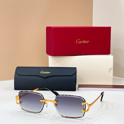 Cartier Sunglasses — 4