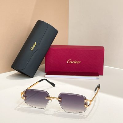 Cartier Sunglasses — 3