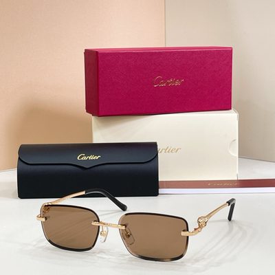 Cartier sunglasses — 4