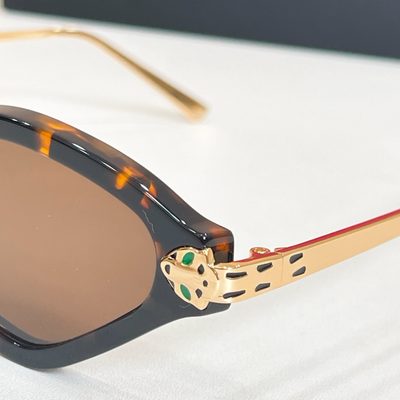 Cartier Sunglasses — 3