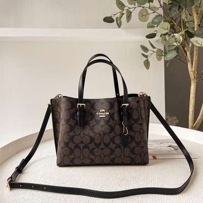 Coach Bag — 20