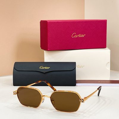Cartier Sunglasses — 4
