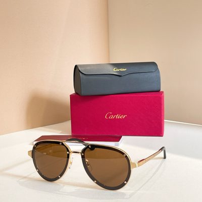 Cartier Sunglasses — 4
