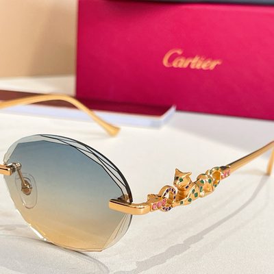 Cartier Sunglasses — 9