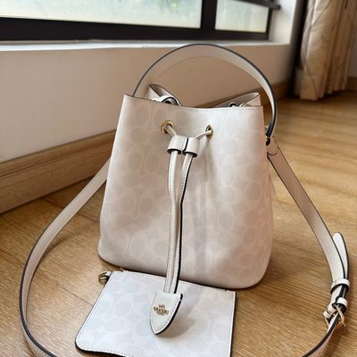 Coach Bag — 3