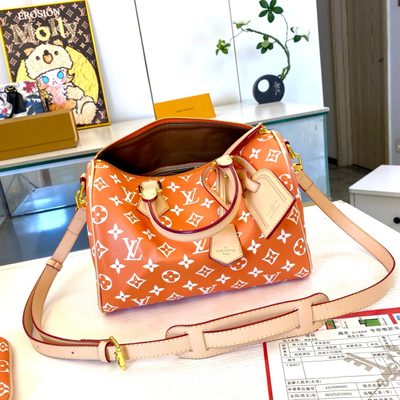 Louis Vuitton Bag — 7