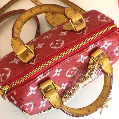 Louis Vuitton Bag — 7