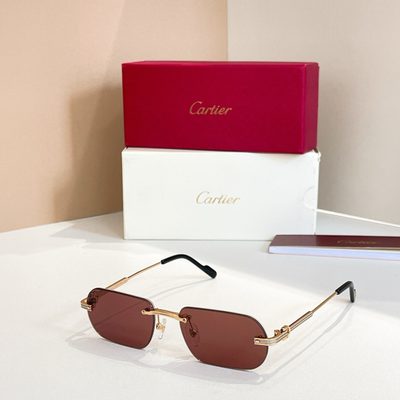 Cartier Sunglasses — 5
