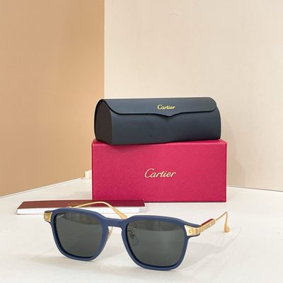 Cartier Sunglasses — 3