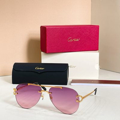 Cartier Sunglasses — 4
