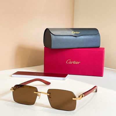 Cartier Sunglasses — 7