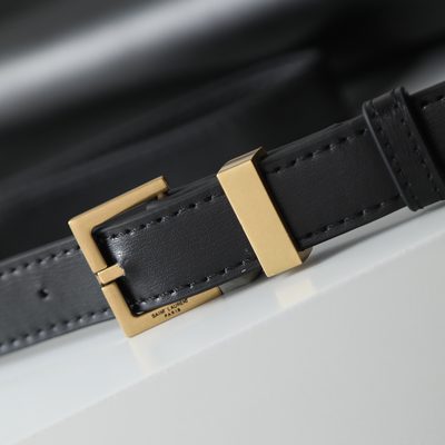YSL Bag — 6