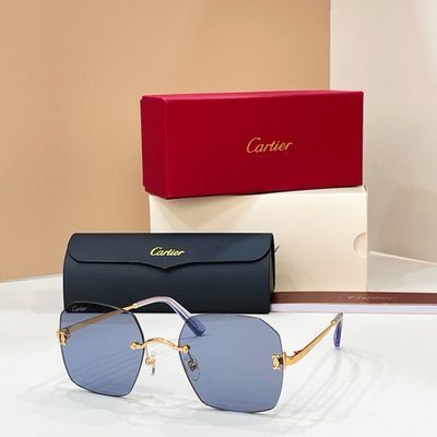 Cartier Sunglasses — 8