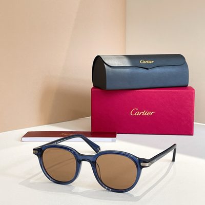 Cartier Sunglasses — 7