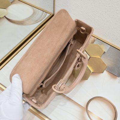 Dior Bag — 8