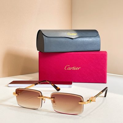Cartier Sunglasses — 3