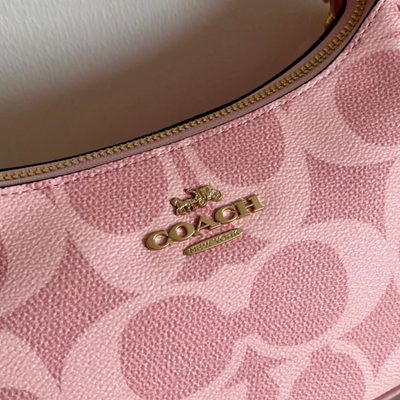 Coach Bag — 5
