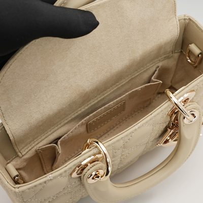 Dior Bag — 9