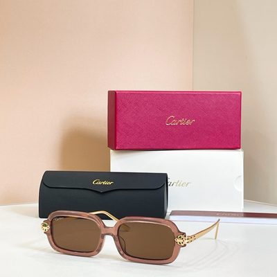 Cartier Sunglasses — 6