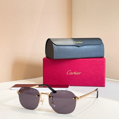 Cartier Sunglasses — 5
