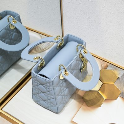 Dior Bag — 7
