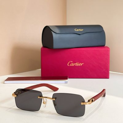 Cartier Sunglasses — 7