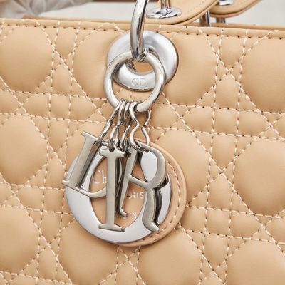 Dior Bag — 5