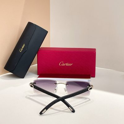 Cartier Sunglasses — 4