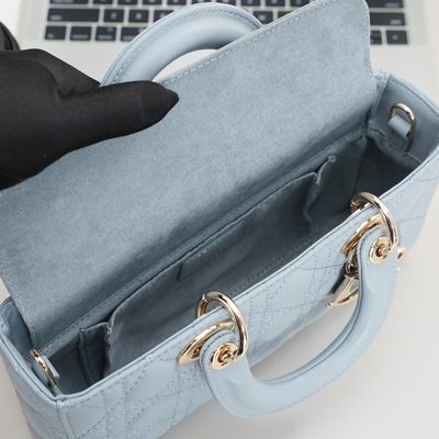 Dior Bag — 9