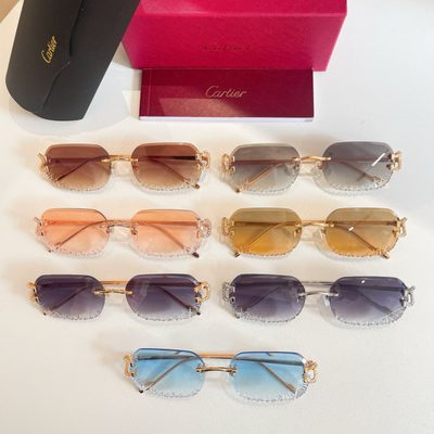 Cartier Sunglasses — 8
