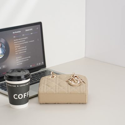 Dior Bag — 9