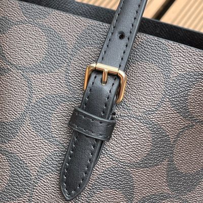 Coach Bag — 6