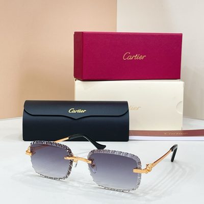 Cartier sunglasses — 7