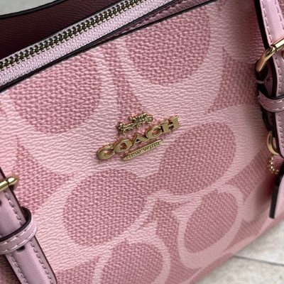Coach Bag — 5