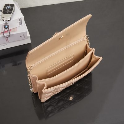 Dior Bag — 9