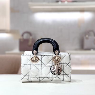 Dior Bag — 6