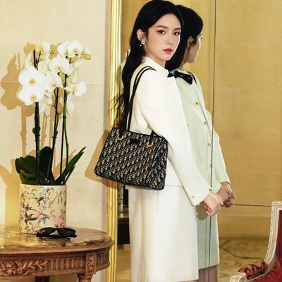 Dior Bag — 8