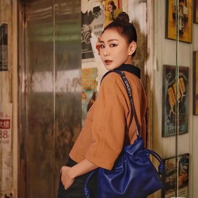 Loewe Bag — 6