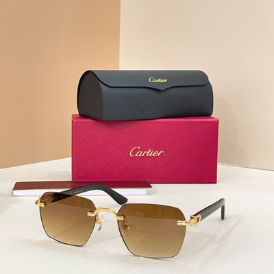Cartier Sunglasses — 3
