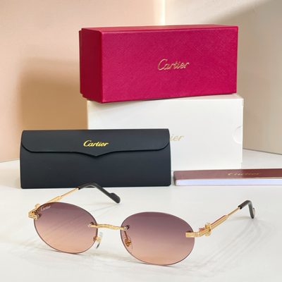 Cartier Sunglasses — 3
