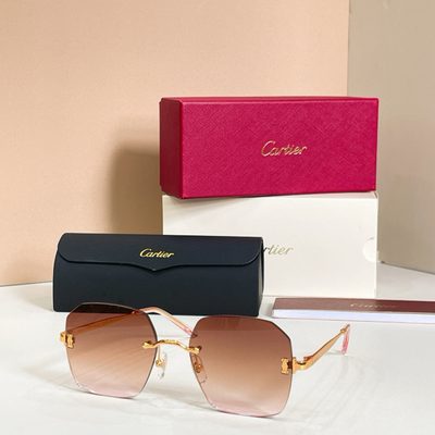 Cartier Sunglasses — 5
