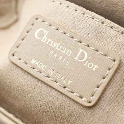 Dior Bag — 8