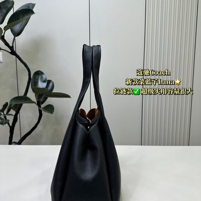 Coach Bag — 6