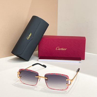 Cartier Sunglasses — 7