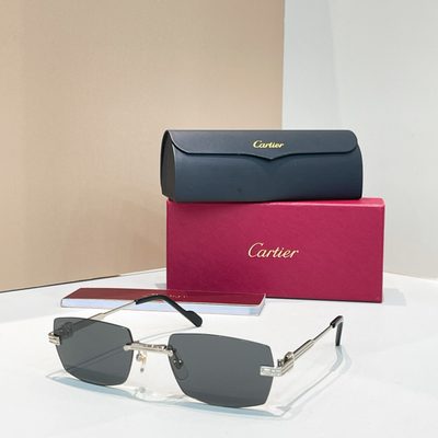 Cartier Sunglasses — 4