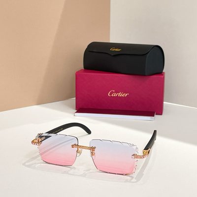 Cartier Sunglasses — 5