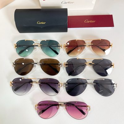 Cartier Sunglasses — 8