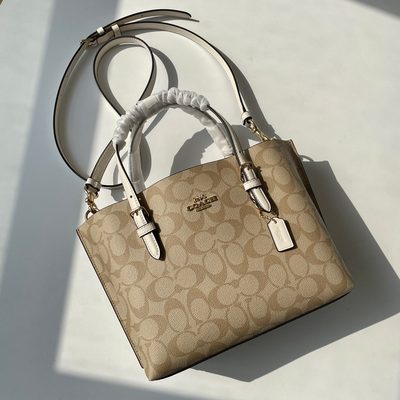 Coach Bag — 5