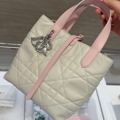 Dior Bag — 6