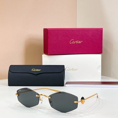Cartier Sunglasses — 4